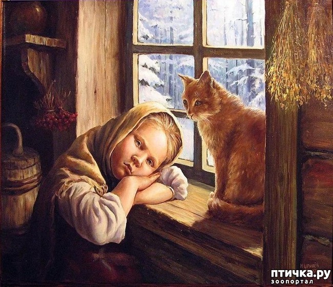 ���� 22: ���� � ����� � �������� (������ �����������)