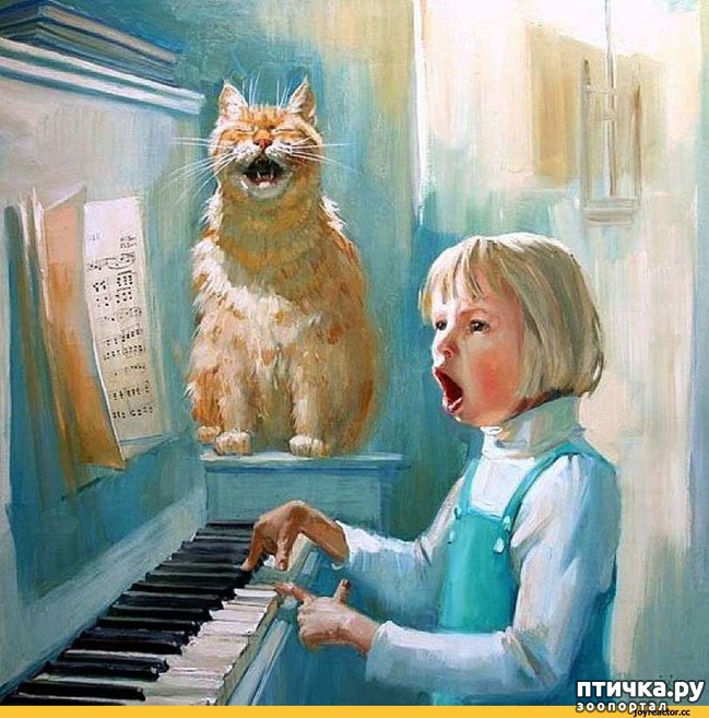 ���� 26: ���� � ����� � �������� (������ �����������)