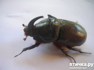 ����: � � ��� �����).