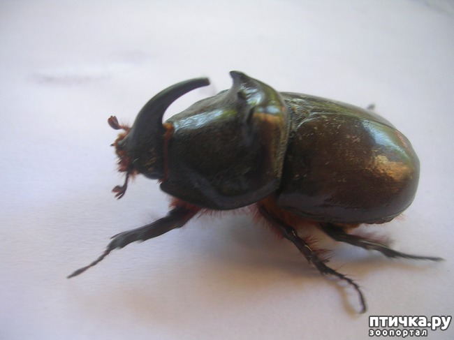 ���� 1: � � ��� �����).