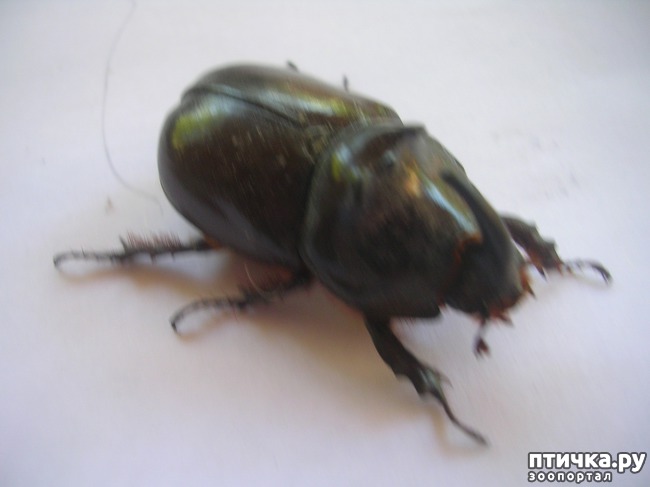 ���� 2: � � ��� �����).