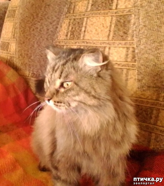 ���� 1: ��� ����� ����