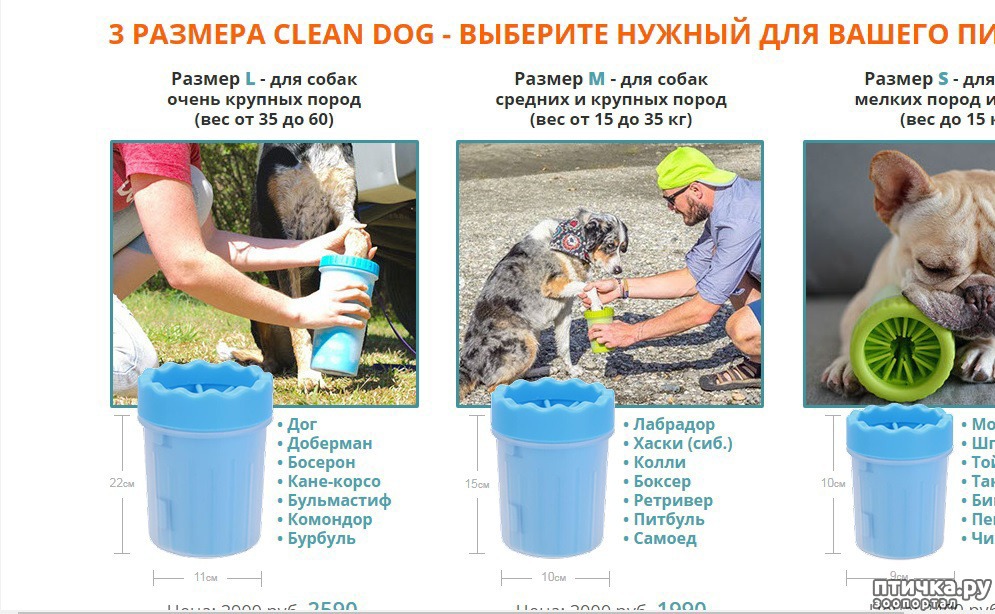 Как мыть лапы после прогулки. Приспособление для мытья лап собакам. Мыть собаке лапы приспособления. Место для мытья лап собакам. Лапомойка Размеры для собак.