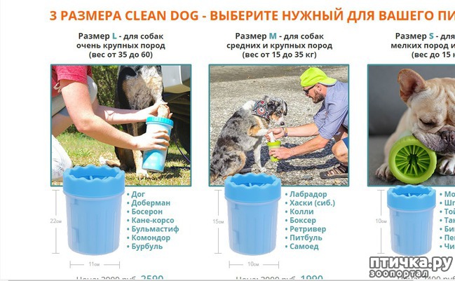 ���� 1: �������������� ��� ����� ���.