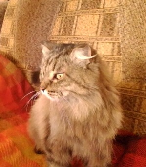 ����: �����������, ����!