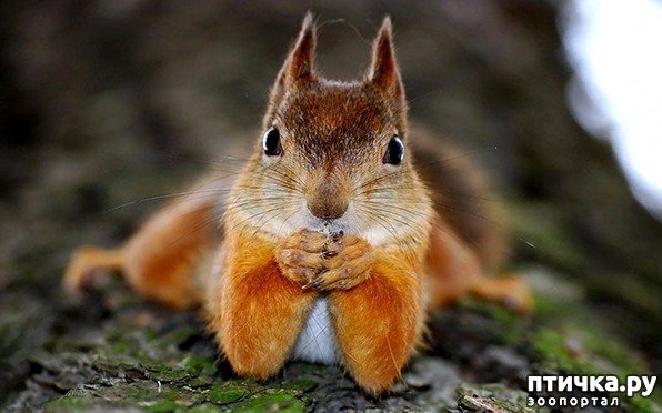 ���� 1: �������, ��� ��� ����!