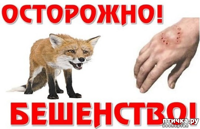 ���� 1: ���������! ���������!