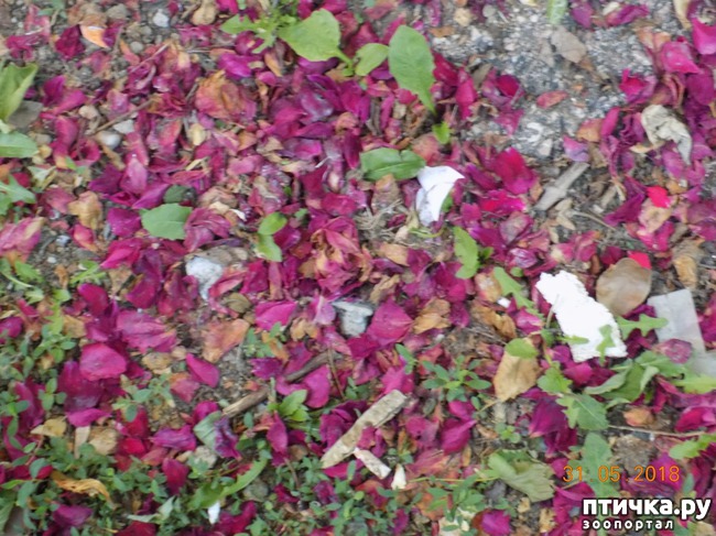 ���� 2: ������, ������, ���������...