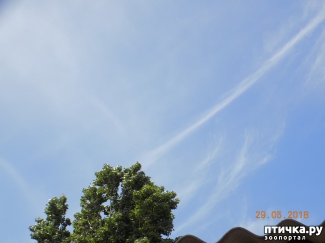 ���� 3: ������, ������, ���������...