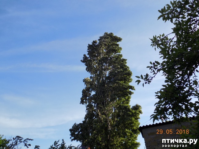 ���� 4: ������, ������, ���������...