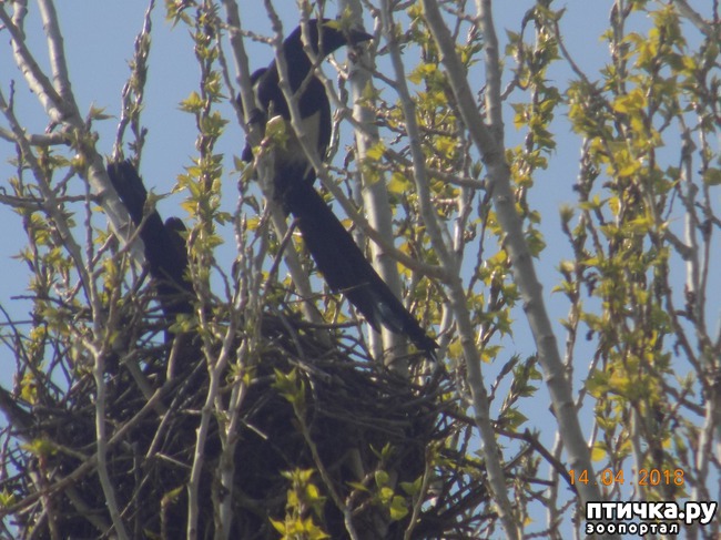 ���� 5: ������, ������, ���������...