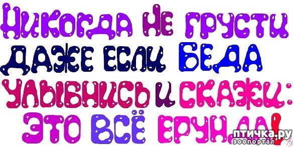 ���� 7: ������, ������, ���������...