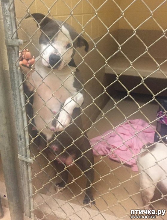 ���� 1: ����-������� ��������� ������