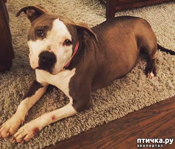 ���� 2: ����-������� ��������� ������