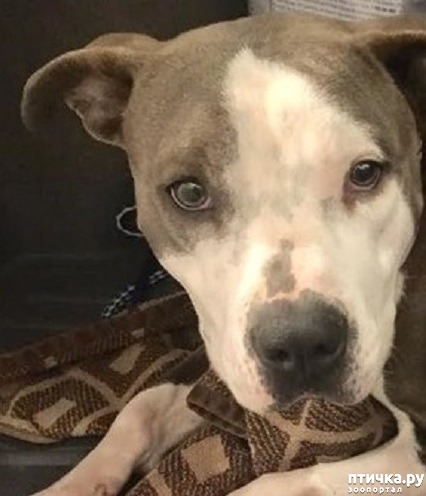 ���� 3: ����-������� ��������� ������