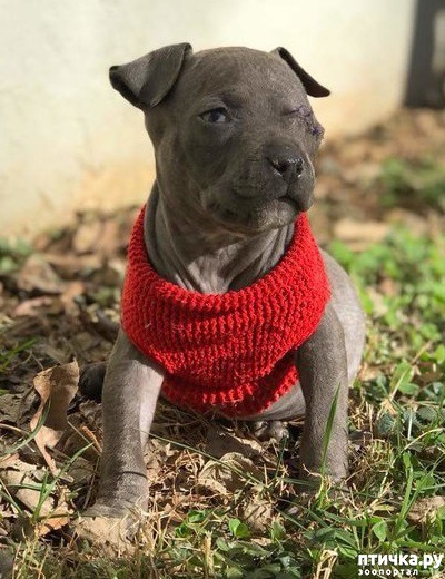 ���� 4: ����-������� ��������� ������