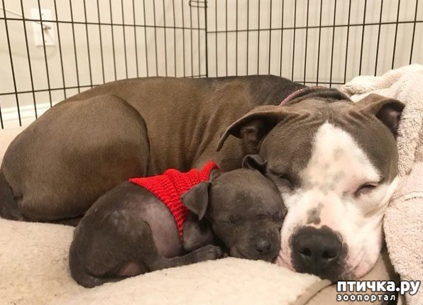 ���� 5: ����-������� ��������� ������