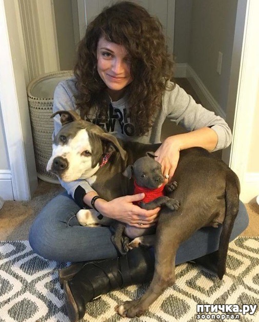 ���� 6: ����-������� ��������� ������