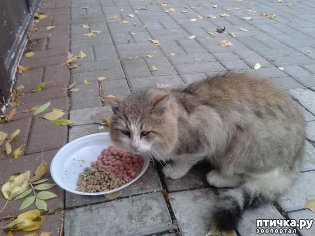 ���� 2: � �������!