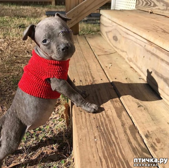 ���� 9: ����-������� ��������� ������