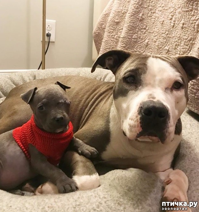 ���� 10: ����-������� ��������� ������