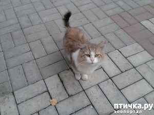 ����: � �������!