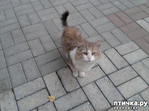 ���� 1: � �������!