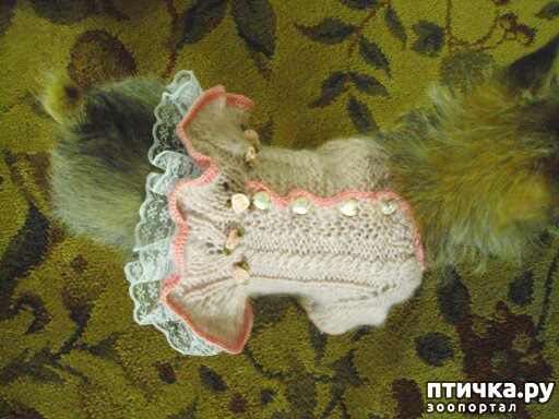 ���� 22: ������ � ��������