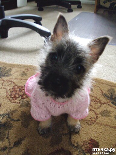 ���� 23: ������ � ��������