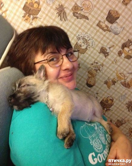 ���� 24: ������ � ��������