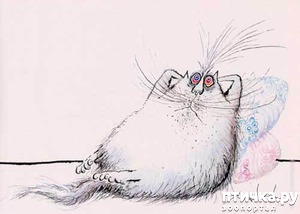 ����: ���� �� � ������