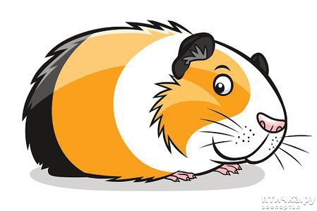 ���� 2: ���� �� � ������