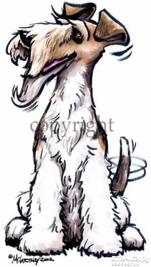 ���� 3: ���� �� � ������