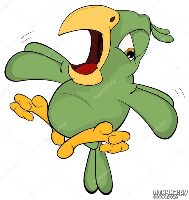 ���� 4: ���� �� � ������