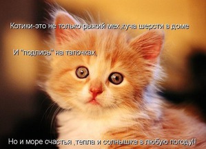 ����: �����������: � ������� ��� ������ ������!