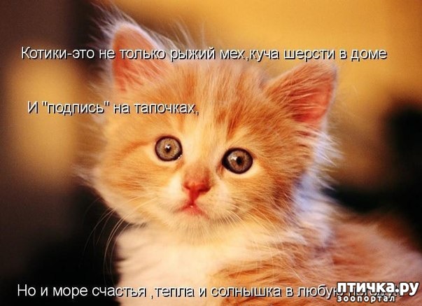 ���� 1: �����������: � ������� ��� ������ ������!