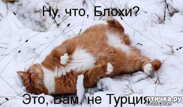 ���� 2: �����������: � ������� ��� ������ ������!