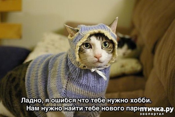 ���� 3: �����������: � ������� ��� ������ ������!