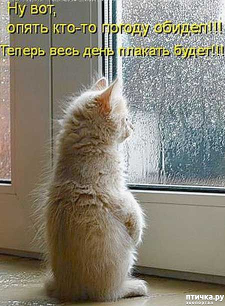 ���� 5: �����������: � ������� ��� ������ ������!