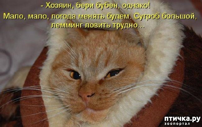 ���� 6: �����������: � ������� ��� ������ ������!