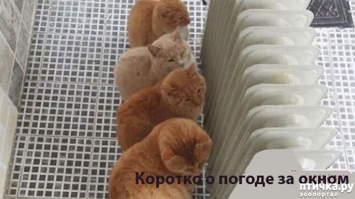 ���� 7: �����������: � ������� ��� ������ ������!