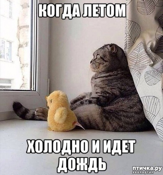 ���� 8: �����������: � ������� ��� ������ ������!