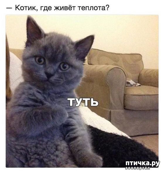 ���� 9: �����������: � ������� ��� ������ ������!