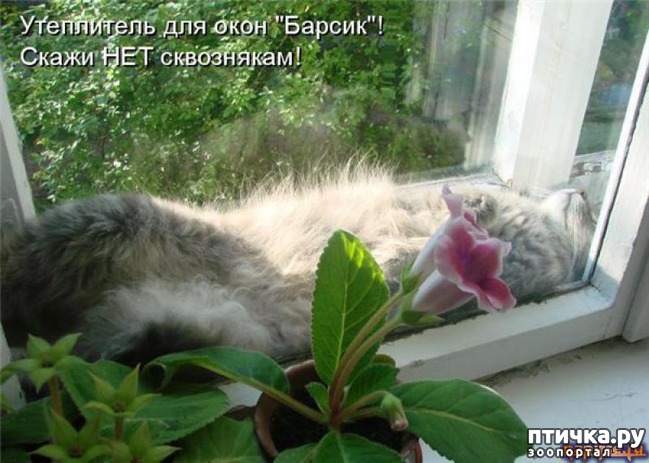 ���� 10: �����������: � ������� ��� ������ ������!