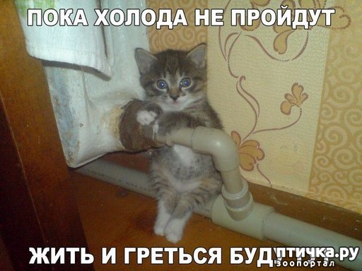 ���� 11: �����������: � ������� ��� ������ ������!