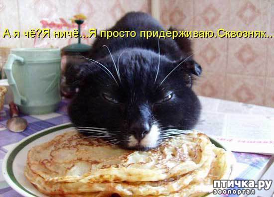 ���� 13: �����������: � ������� ��� ������ ������!