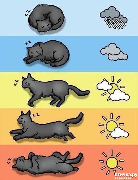 ���� 14: �����������: � ������� ��� ������ ������!