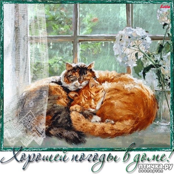 ���� 15: �����������: � ������� ��� ������ ������!