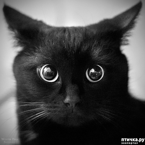 ���� 1: ���� ����. ��� �� ����������.