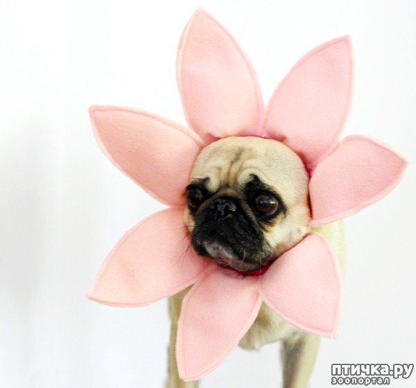 ���� 2: ������ � ��������